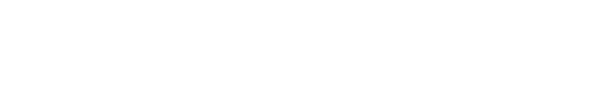 Aris Studio
